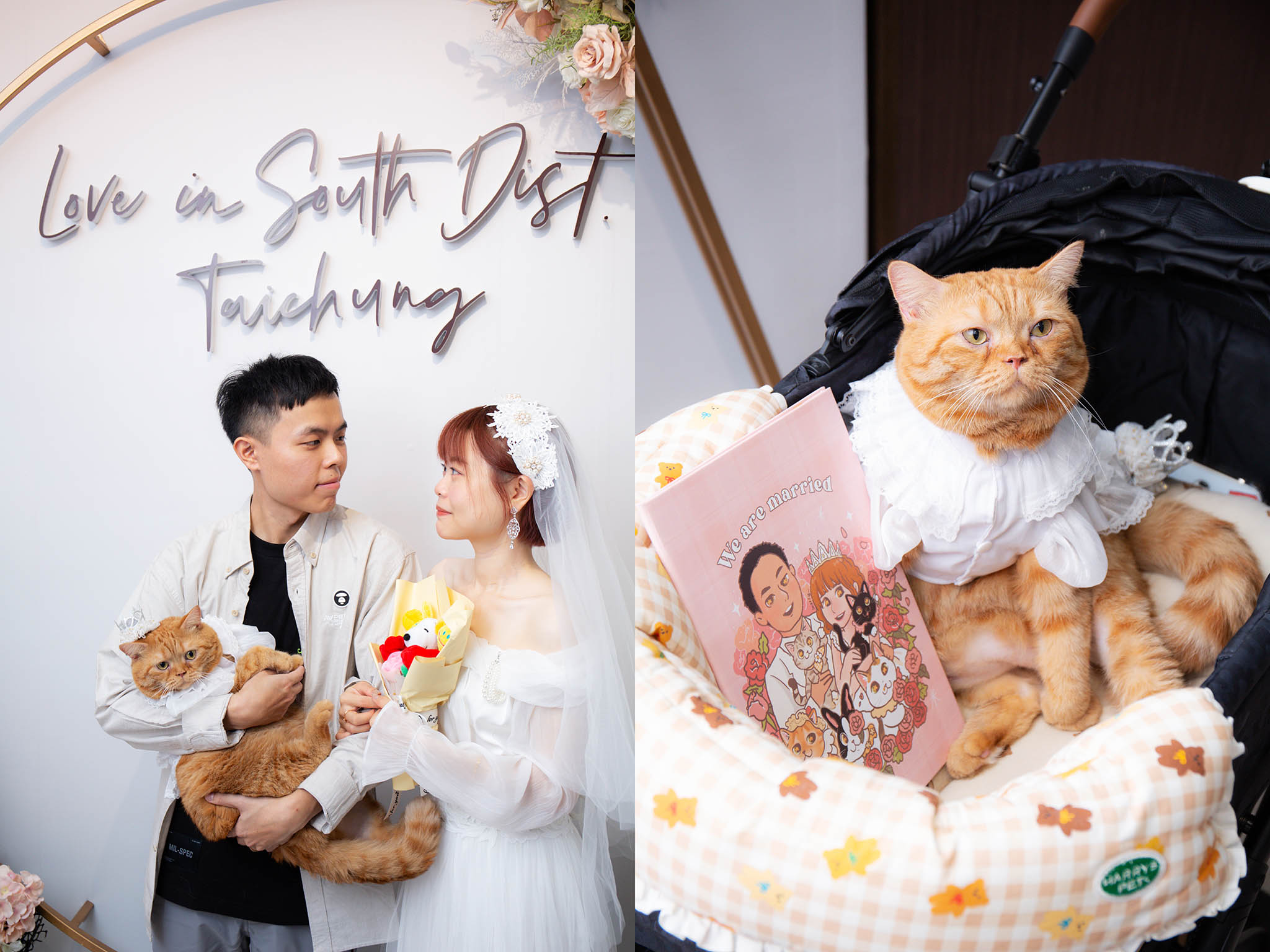 《台中南區戶政結婚登記》帶著貓咪一起去參加 / 國家漫畫博物館婚紗輕寫真
